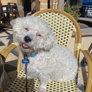 Meet your Posher, Jingjing